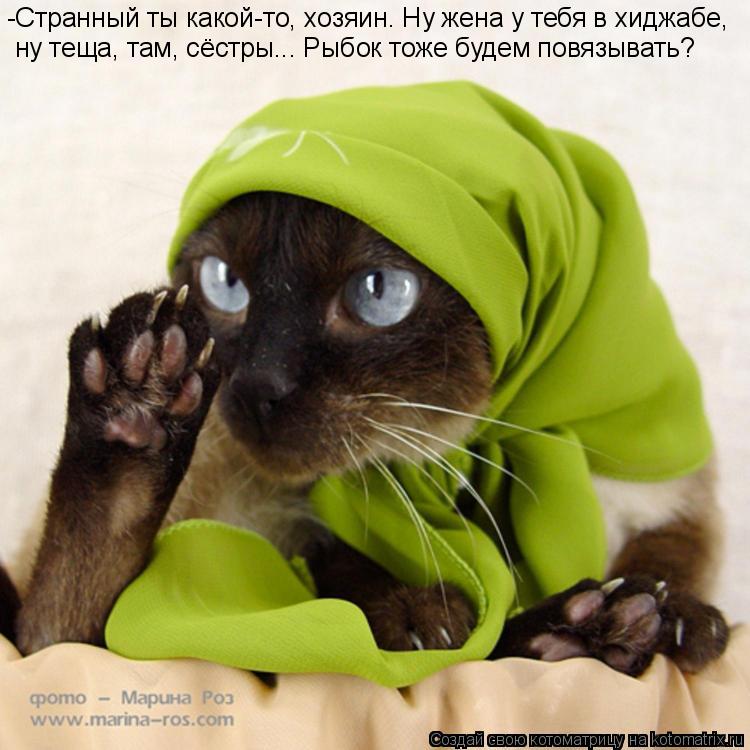 ну теща, там, сёстры... Рыбок тоже будем повязывать? -Странный ты какой-то, хозяин. Ну жена у тебя в ... Котоматрица: ну теща, там, сёстры... Рыбок тоже будем повязывать? -Странный ты какой-то, хозяин. Ну жена у тебя в хиджабе,