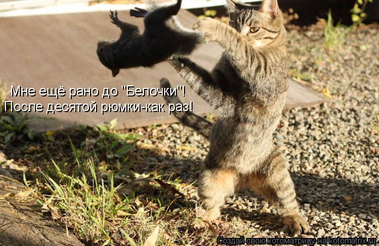 Мне ещё рано до "Белочки"! После десятой рюмки-как раз!... Котоматрица: Мне ещё рано до "Белочки"! После десятой рюмки-как раз!