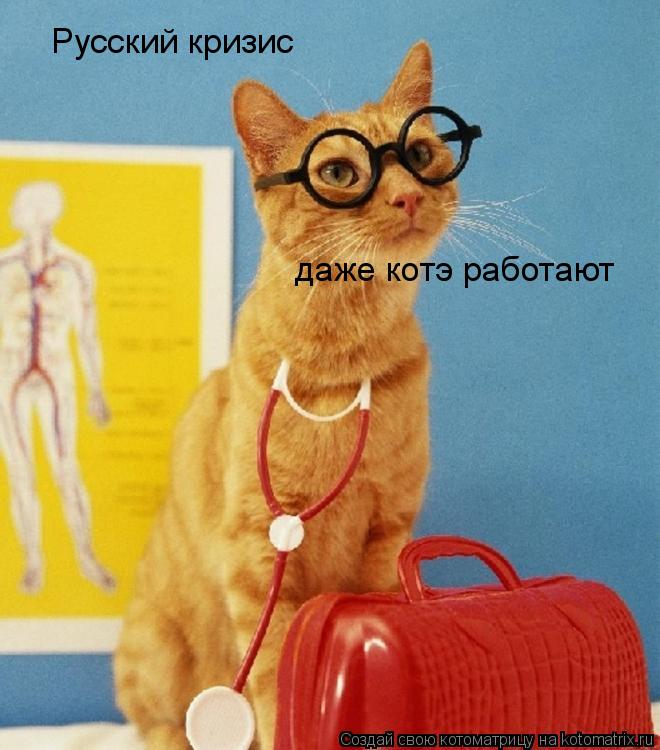 Русский кризис даже котэ работают... Котоматрица: Русский кризис даже котэ работают