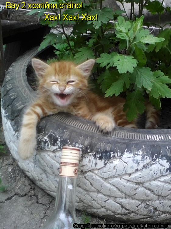 Вау 2 хозяйки стало! Хах! Хах! Хах!... Котоматрица: Вау 2 хозяйки стало! Хах! Хах! Хах!