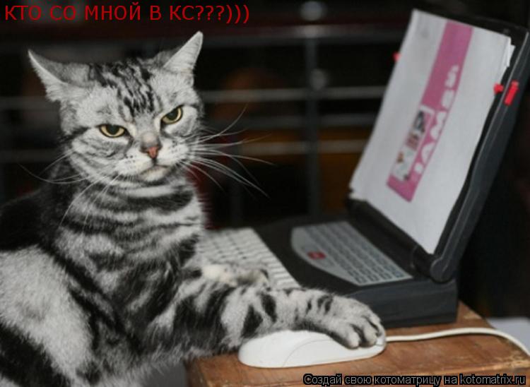 КТО СО МНОЙ В КС???)))... Котоматрица: КТО СО МНОЙ В КС???)))
