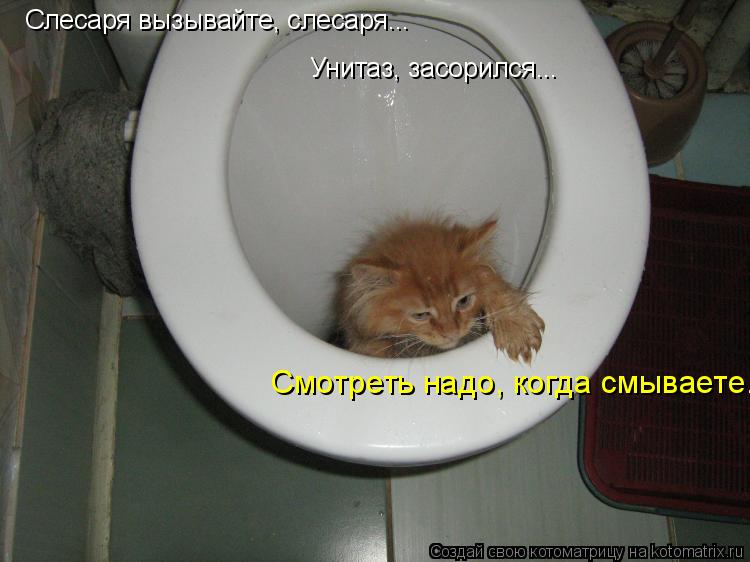 Слесаря вызывайте, слесаря... Унитаз, засорился... Смотреть надо, когда смываете.... Котоматрица: Слесаря вызывайте, слесаря... Унитаз, засорился... Смотреть надо, когда смываете.