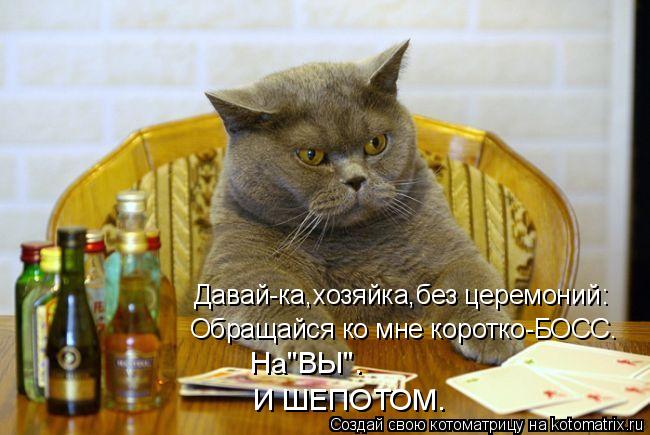 Давай-ка,хозяйка,без церемоний: Обращайся ко мне коротко-БОСС. И ШЕПОТОМ. На"ВЫ".... Котоматрица: Давай-ка,хозяйка,без церемоний: Обращайся ко мне коротко-БОСС. И ШЕПОТОМ. На"ВЫ".