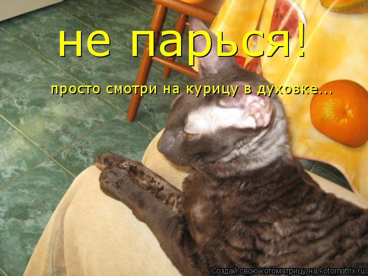 не парься! просто смотри на курицу в духовке...... Котоматрица: не парься! просто смотри на курицу в духовке...