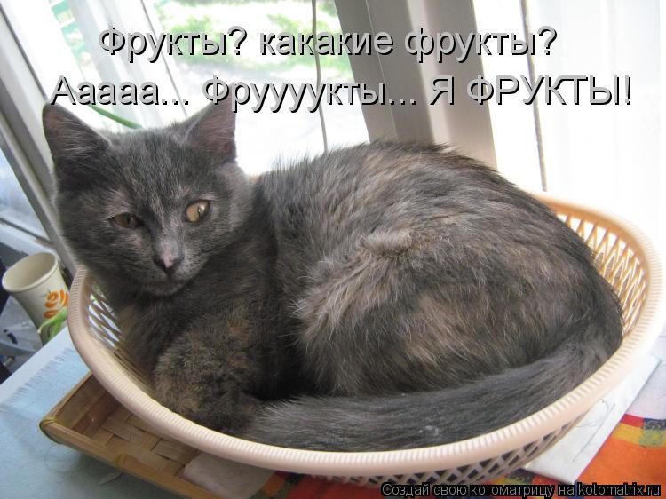 Фрукты? какакие фрукты? Ааааа... Фруууукты... Я ФРУКТЫ!... Котоматрица: Фрукты? какакие фрукты? Ааааа... Фруууукты... Я ФРУКТЫ!