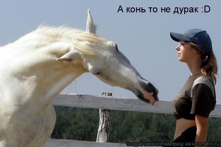 А конь то не дурак :D... Котоматрица: А конь то не дурак :D