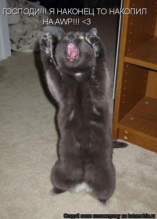 ГОСПОДИ!!! Я НАКОНЕЦ ТО НАКОПИЛ НА AWP!!! <3... Котоматрица: ГОСПОДИ!!! Я НАКОНЕЦ ТО НАКОПИЛ НА AWP!!! <3