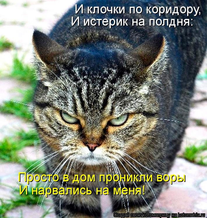 И клочки по коридору, И истерик на полдня: Просто в дом проникли воры И нарвались на меня!... Котоматрица: И клочки по коридору, И истерик на полдня: Просто в дом проникли воры И нарвались на меня!