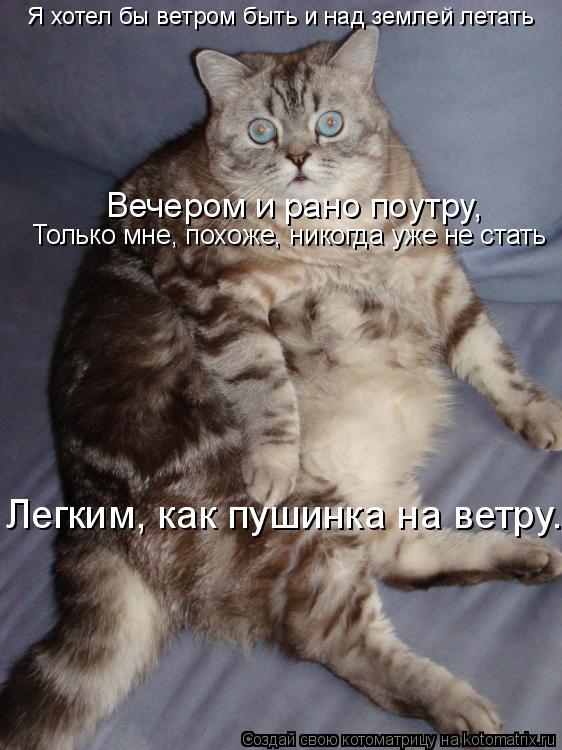 Я хотел бы ветром быть и над землей летать Вечером и рано поутру, Только мне, похоже, никогда уже не... Котоматрица: Я хотел бы ветром быть и над землей летать Вечером и рано поутру, Только мне, похоже, никогда уже не стать Легким, как пушинка на ветру...