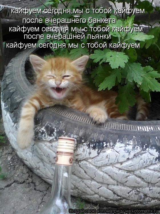 кайфуем сегодня мы с тобой кайфуем после вчерашнего банкета кайфуем сегодня мы с тобой кайфуем после ... Котоматрица: кайфуем сегодня мы с тобой кайфуем после вчерашнего банкета кайфуем сегодня мы с тобой кайфуем после вчерашней пьянки кайфуем сегодня мы с