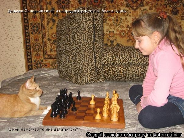 Девочка-Соперник хитер и непредсказуем,что-ж, будем ждать.... Кот-ой мамочка,что мне делать-то????... Котоматрица: Девочка-Соперник хитер и непредсказуем,что-ж, будем ждать.... Кот-ой мамочка,что мне делать-то????