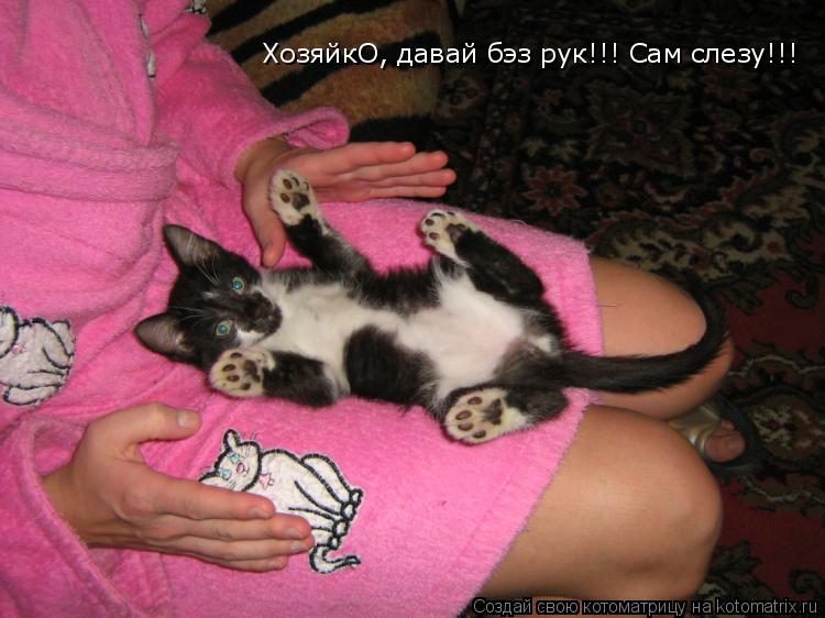 ХозяйкО, давай бэз рук!!! Сам слезу!!!... Котоматрица: ХозяйкО, давай бэз рук!!! Сам слезу!!!