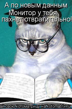 А по новым данным Монитор у тебя пахнет отвратительно!... Котоматрица: А по новым данным Монитор у тебя пахнет отвратительно!
