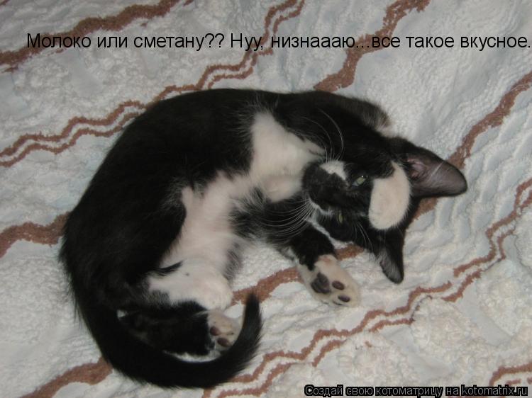 Молоко или сметану?? Нуу, низнаааю...все такое вкусное...... Котоматрица: Молоко или сметану?? Нуу, низнаааю...все такое вкусное...