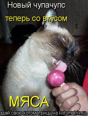 Новый чупачупс теперь со вкусом МЯСА... Котоматрица: Новый чупачупс теперь со вкусом МЯСА