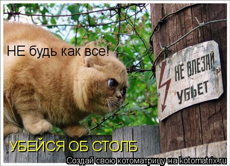 НЕ будь как все! УБЕЙСЯ ОБ СТОЛБ... Котоматрица: НЕ будь как все! УБЕЙСЯ ОБ СТОЛБ