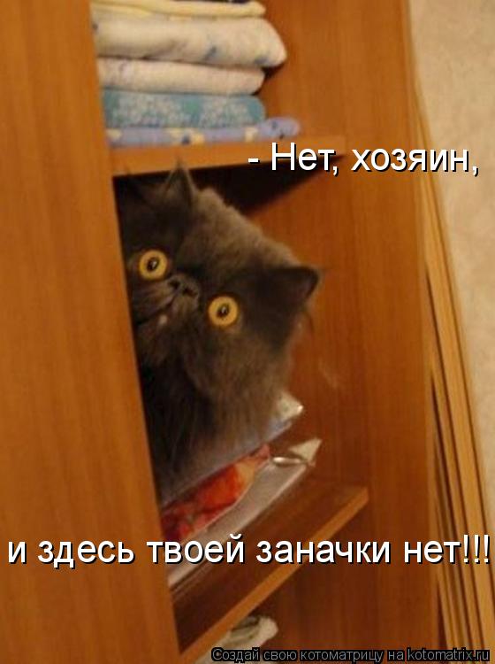 - Нет, хозяин, и здесь твоей заначки нет!!!... Котоматрица: - Нет, хозяин, и здесь твоей заначки нет!!!