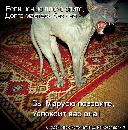 Если ночью плохо спите, Долго маетесь без сна - Вы Марусю позовите, Успокоит вас она!... Котоматрица: Если ночью плохо спите, Долго маетесь без сна - Вы Марусю позовите, Успокоит вас она!