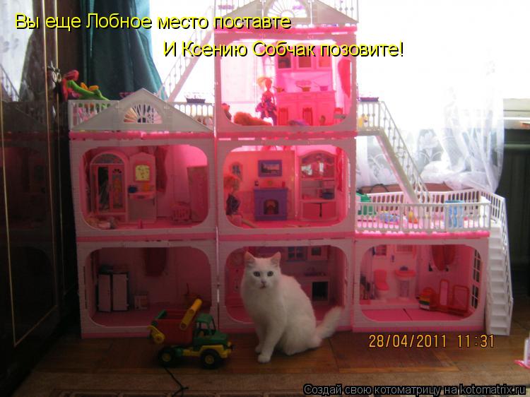 Вы еще Лобное место поставте И Ксению Собчак позовите!... Котоматрица: Вы еще Лобное место поставте И Ксению Собчак позовите!