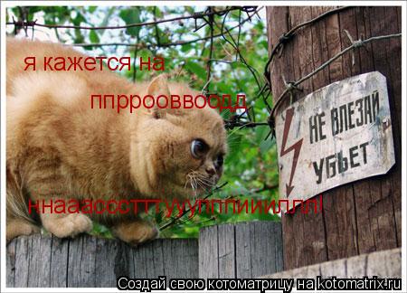 я кажется на ппррооввоодд ннааассстттууупппиииллл!... Котоматрица: я кажется на ппррооввоодд ннааассстттууупппиииллл!
