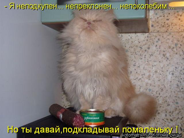 - Я неподкупен... непреклонен... непоколебим ... Но ты давай,подкладывай помаленьку !... Котоматрица: - Я неподкупен... непреклонен... непоколебим ... Но ты давай,подкладывай помаленьку !