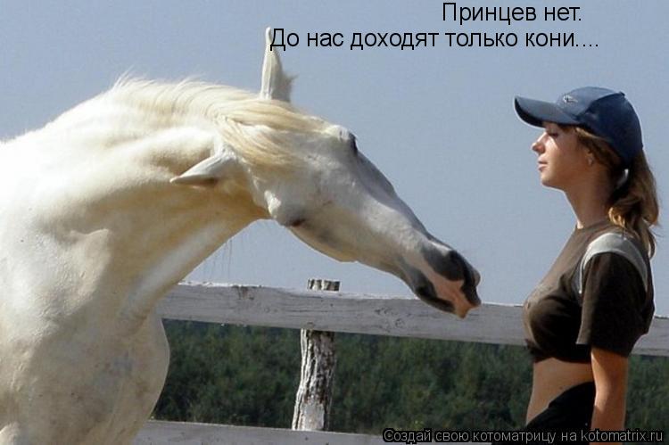 Принцев нет. До нас доходят только кони....... Котоматрица: Принцев нет. До нас доходят только кони....