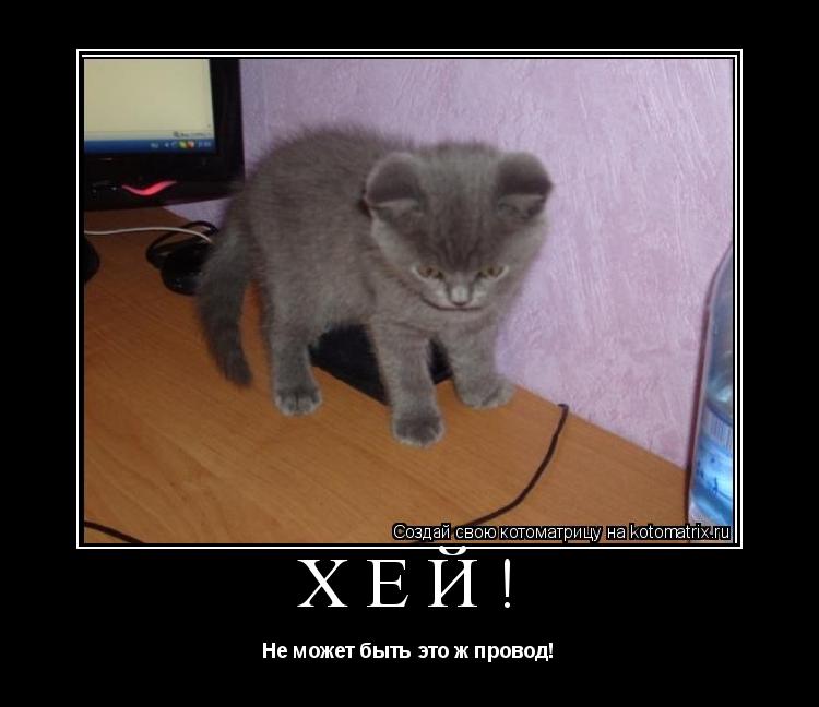 Хей! Не может быть это ж провод!... Котоматрица: Хей! Не может быть это ж провод!