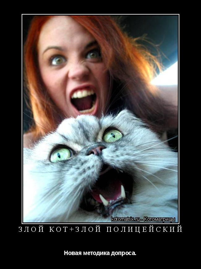Котоматрица: ЗЛОЙ КОТ+ЗЛОЙ ПОЛИЦЕЙСКИЙ Новая методика допроса.