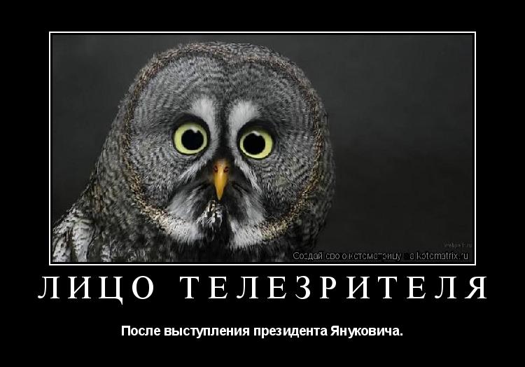 Котоматрица: ЛИЦО ТЕЛЕЗРИТЕЛЯ После выступления президента Януковича.