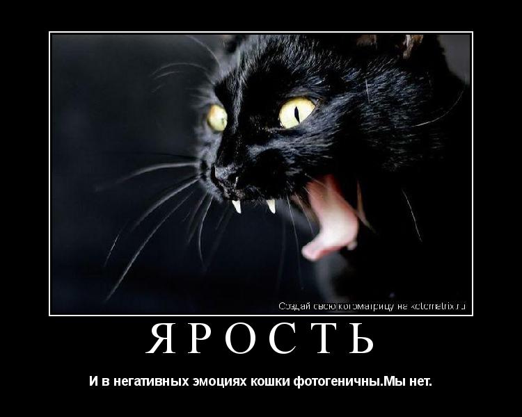 http://kotomatrix.ru/images/lolz/2011/04/29/aa.jpg
