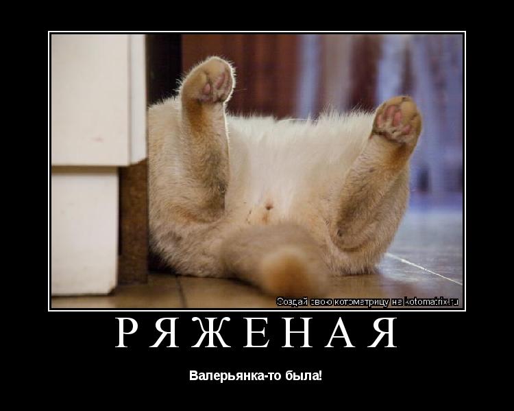 Котоматрица: РЯЖЕНАЯ Валерьянка-то была!