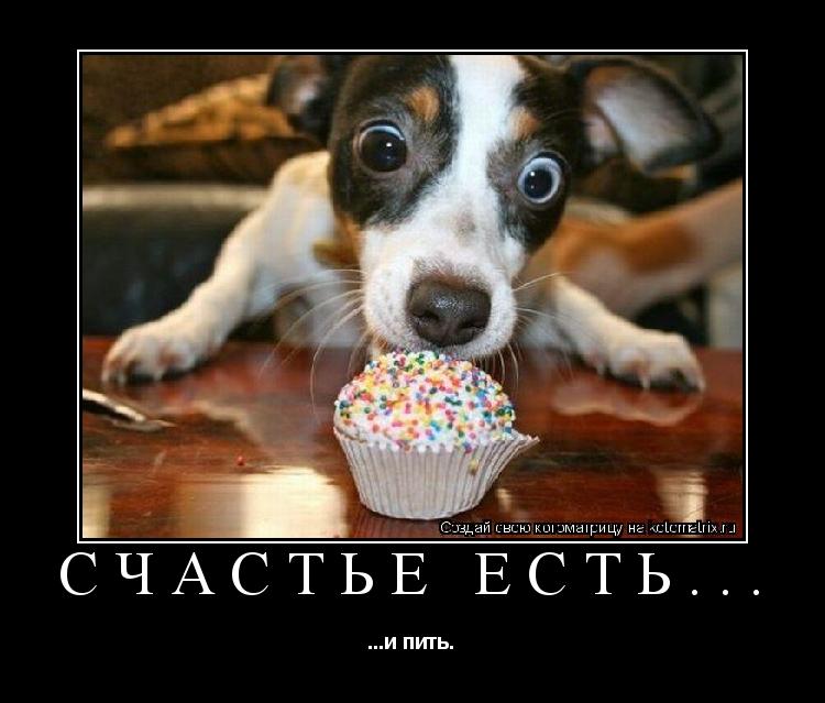 Счастье есть... ...и пить.... Котоматрица: Счастье есть... ...и пить.
