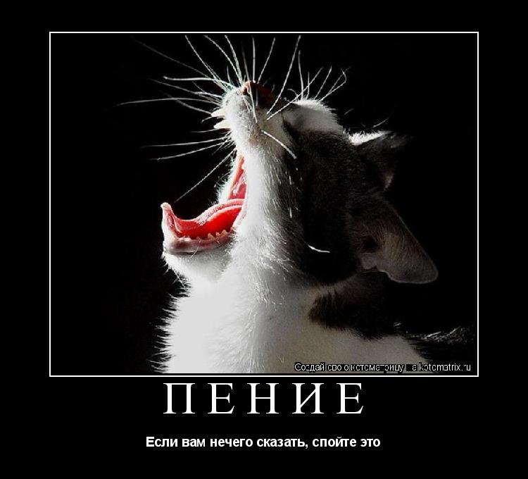 Котоматрица: ПЕНИЕ Если вам нечего сказать, спойте это