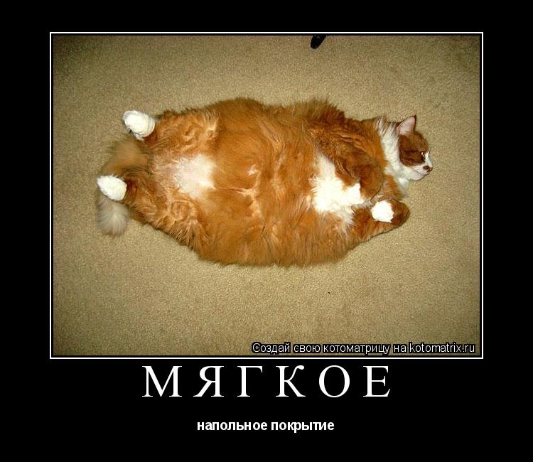 Мягкое напольное покрытие... Котоматрица: Мягкое напольное покрытие