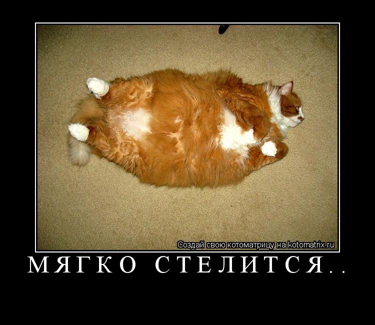 Котоматрица: Мягко стелится.. 