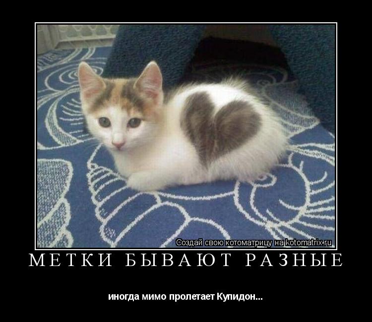 Котоматрица: метки бывают разные иногда мимо пролетает Купидон...