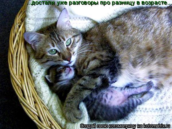 ...достали уже разговоры про разницу в возрасте...... Котоматрица: ...достали уже разговоры про разницу в возрасте...