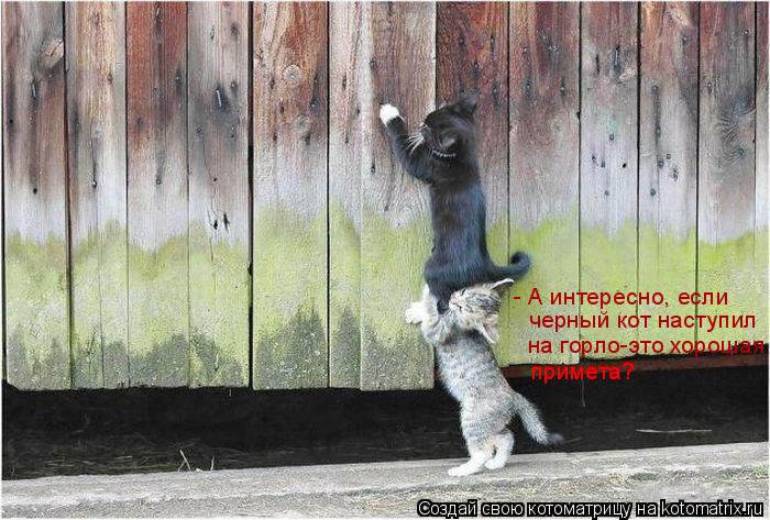- А интересно, если черный кот наступил на горло-это хорошая примета? примета?... Котоматрица: - А интересно, если черный кот наступил на горло-это хорошая примета? примета?