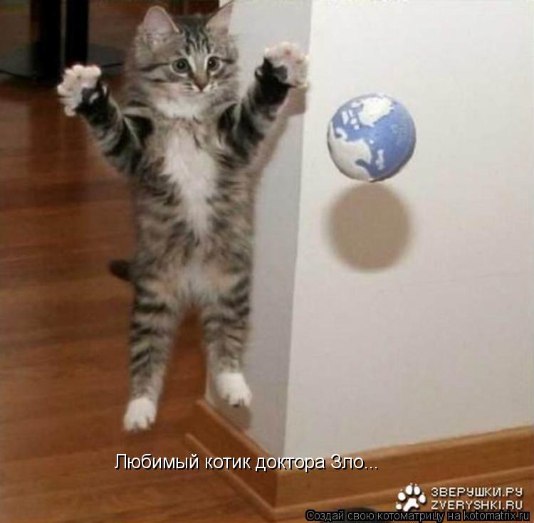 Любимый котик доктора Зло...... Котоматрица: Любимый котик доктора Зло...