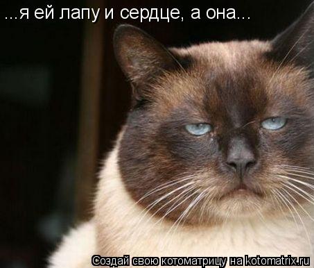 ...я ей лапу и сердце, а она...... Котоматрица: ...я ей лапу и сердце, а она...