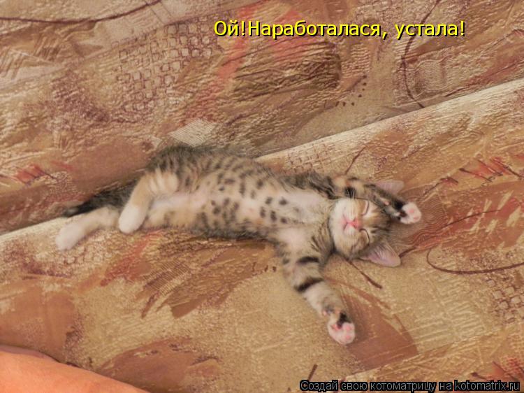 Ой!Наработалася, устала!... Котоматрица: Ой!Наработалася, устала!
