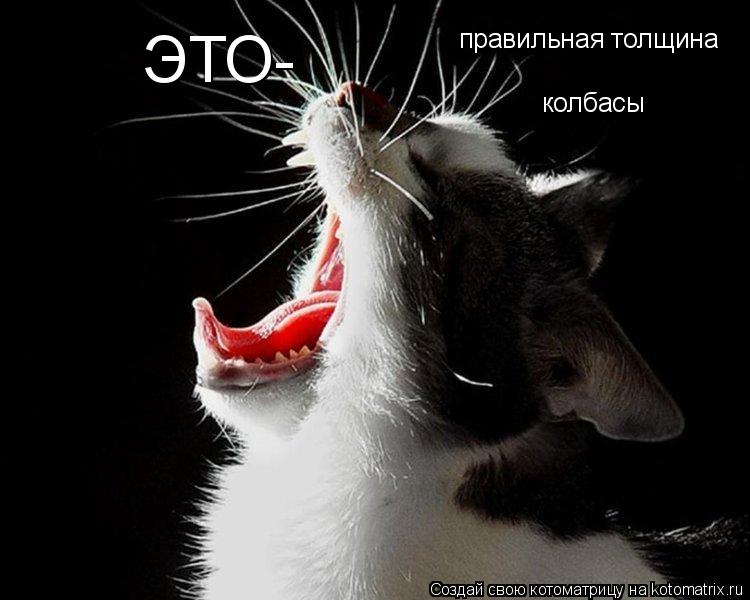 ЭТО- правильная толщина колбасы... Котоматрица: ЭТО- правильная толщина колбасы
