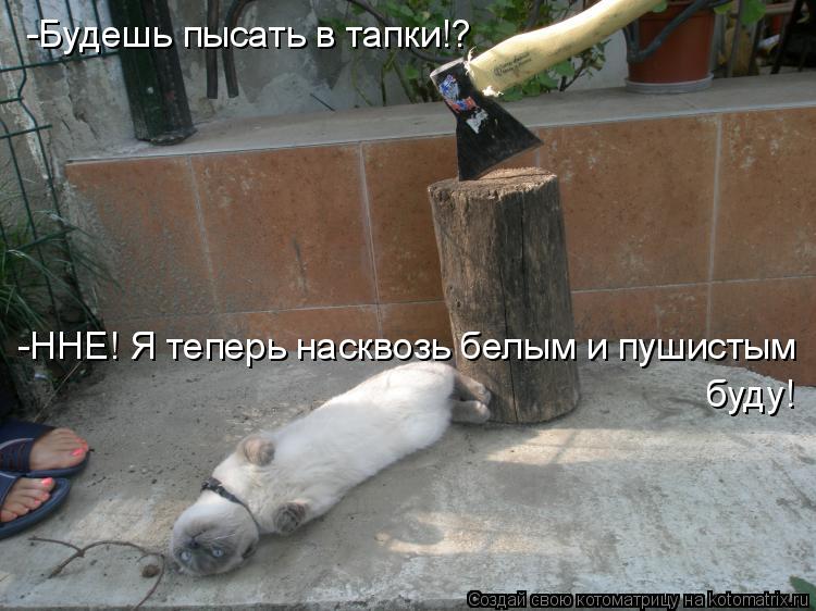 -Будешь пысать в тапки!? -ННЕ! Я теперь насквозь белым и пушистым буду!... Котоматрица: -Будешь пысать в тапки!? -ННЕ! Я теперь насквозь белым и пушистым буду!