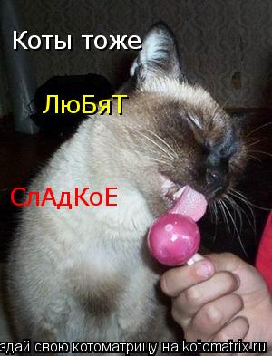 Коты тоже ЛюБяТ СлАдКоЕ... Котоматрица: Коты тоже ЛюБяТ СлАдКоЕ