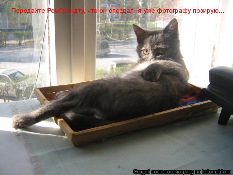 Передайте Рембрандту, что он опоздал- я уже фотографу позирую...... Котоматрица: Передайте Рембрандту, что он опоздал- я уже фотографу позирую...