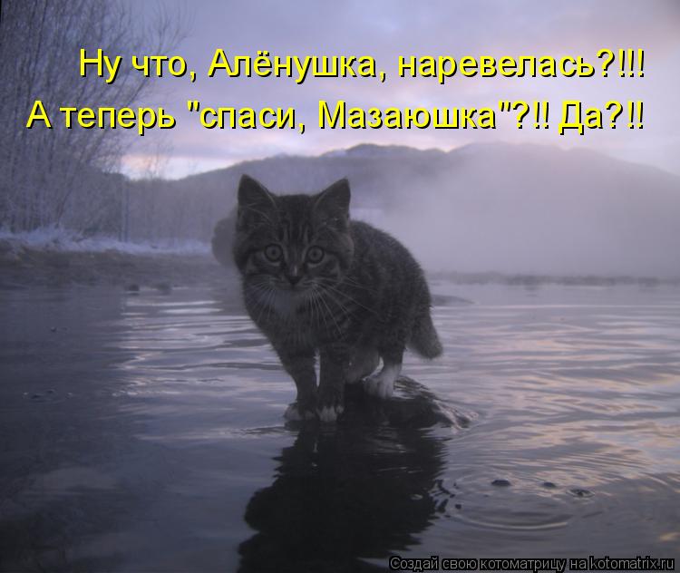 Ну что, Алёнушка, наревелась?!!! А теперь "спаси, Мазаюшка"?!! Да?!!... Котоматрица: Ну что, Алёнушка, наревелась?!!! А теперь "спаси, Мазаюшка"?!! Да?!!