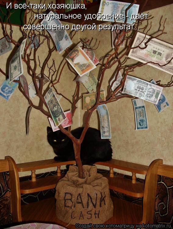 И всё-таки,хозяюшка, натуральное удобрение - даёт совершенно другой результат...... Котоматрица: И всё-таки,хозяюшка, натуральное удобрение - даёт совершенно другой результат...