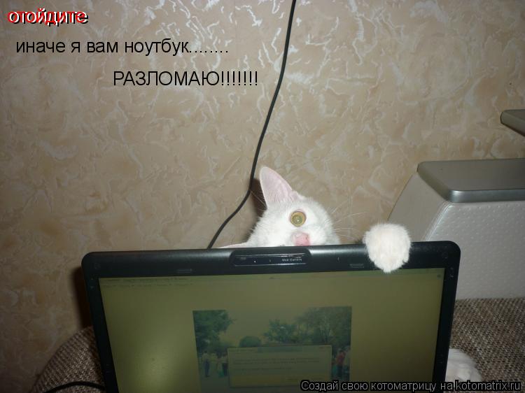Котоматрица: отойдите  отойдите  иначе я вам ноутбук........ РАЗЛОМАЮ!!!!!!!