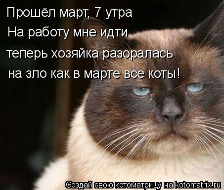 Котоматрица: Прошёл март, 7 утра На работу мне идти  теперь хозяйка разоралась на зло как в марте все коты!