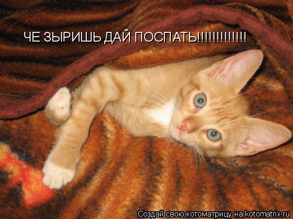 Котоматрица: ЧЕ ЗЫРИШЬ ДАЙ ПОСПАТЬ!!!!!!!!!!!!!